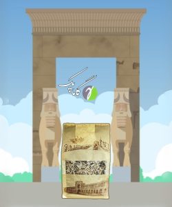 پاکت باکس پوچ کرافت ایران